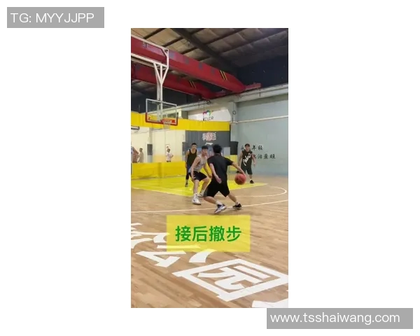 篮球装备选购指南：优质护膝推荐与使用技巧分享